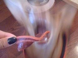 Kumpulan Foto Lucu dengan Timing yang Tepat