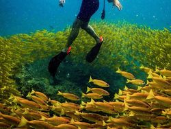 Kumpulan Foto Lucu dengan Timing yang Tepat