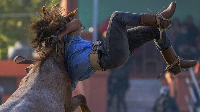 Gauchos watch the horse taming exhibition during the 