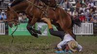 Kepopuleran acara yang diselenggarakan rutin setiap tahun ini juga menarik perhatian para gaucho dari luar Uruguay. Peserta rodeo ini banyak yang berasal dari negara tetangga seperti Argentina dan Brazil.  