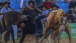 Uji Nyali Para Koboi Paraguay Taklukan Kuda Liar Saat Pekan Paskah