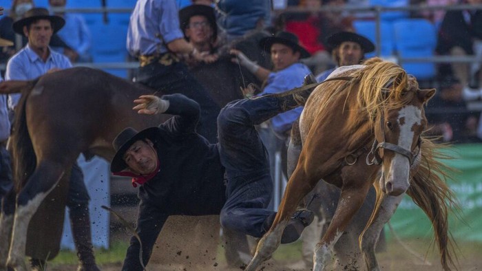 Gauchos watch the horse taming exhibition during the 
