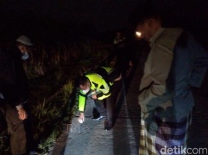 Ugal-ugalan Hingga Motor Adu Banteng, 2 Pelajar di Jombang Tewas