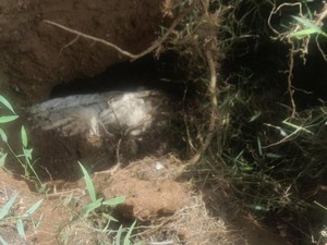Terungkap Kondisi Sebenarnya Jasad Disebut Utuh di Labuhanbatu