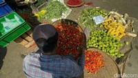Sedangkan satu satunya komoditas pangan yang sudah alami penurunan yaitu cabai.   