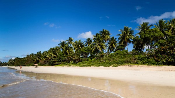 Menduduki posisi keempat ada Quarta Praia, Morro de Sao Paulo. Brasil memiliki tiga pantai yang masuk ke peringkat terbaik versi Tripadvisor ini. Menduduki posisi keempat ada Quarta Praia, Morro de Sao Paulo. Brasil memiliki tiga pantai yang masuk ke peringkat terbaik versi Tripadvisor ini.