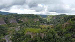 Pesona Ngarai Sianok, Pahatan Indah di Bukittinggi