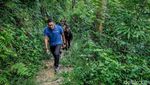 Potret Sandiaga Silaturahmi dengan Orangutan Bukit Lawang