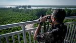 Mantul Nih, Pemandangan Tower Mangrove Forest Park Langsa