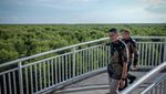 Mantul Nih, Pemandangan Tower Mangrove Forest Park Langsa