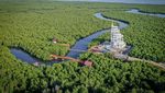 Mantul Nih, Pemandangan Tower Mangrove Forest Park Langsa
