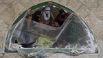 Warga Palestina-Polisi Israel Bentrok Lagi di Masjid Al-Aqsa