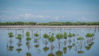 Sandiaga mengatakan jika desa wisata dikelola dengan baik seperti ini, ditambah dengan amenitas dan aksesibilitas yang lebih baik serta atraksi tambahan melalui event-event, desa ini bisa menjadi destinasi unggulan. Kegiatan bird watching di Desa Cinta Raja ini adalah bentuk best practice dari ecotourism.
