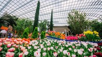 Ada pula Flower Dome yang memiliki tanaman unik dengan berbagai habitat dari Mediterania hingga Afrika Selatan: (Gardens by The Bay)