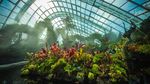 Potret Taman Terindah di Dunia, Ada Pohon Buatan Setinggi 50 Meter