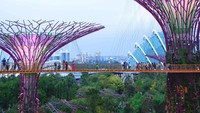 Tak kalah menarik, OCBC Sky Way mengajak wisatawan berjalan di jembatan antara Supertree Grove dalam ketinggian 21 meter. (Gardens by The Bay)