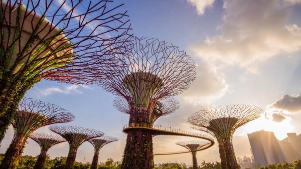 Taman vertiikal ini bisa menampung air hujan, menghasilkan tenaga matahari dan beroperasi sebagai saluran ventilasi bago konservatori taman..  (Visit Singapore)