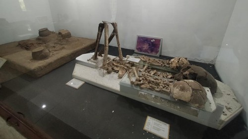 Koleksi Kerangka Manusia Purba di Museum Manusia Purba Gilimanuk, Kelurahan Gilimanuk, Kecamatan Melaya, (13/4/2022)