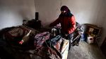 Ayam Peliharaan Selamatkan Hidup Nenek Ukraina saat Perang