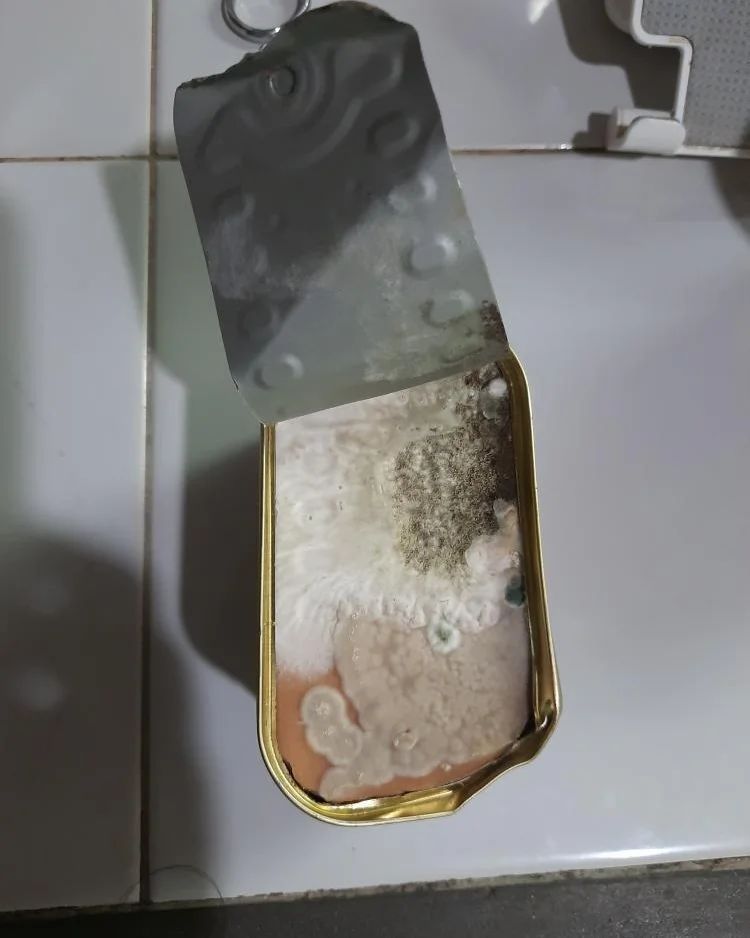 Beli Kornet Sudah Berjamur