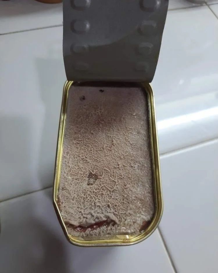 Beli Kornet Sudah Berjamur