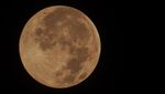 Terpesona Cantiknya Pink Moon di Langit Indonesia-Jerman