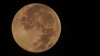 Bulan merah jambu atau pink moon juga terlihat di langit kawasan Bekasi, Jawa Barat, pada Minggu (17/4) dini hari. ANTARA FOTO/Paramayuda. 