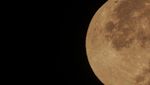 Terpesona Cantiknya Pink Moon di Langit Indonesia-Jerman