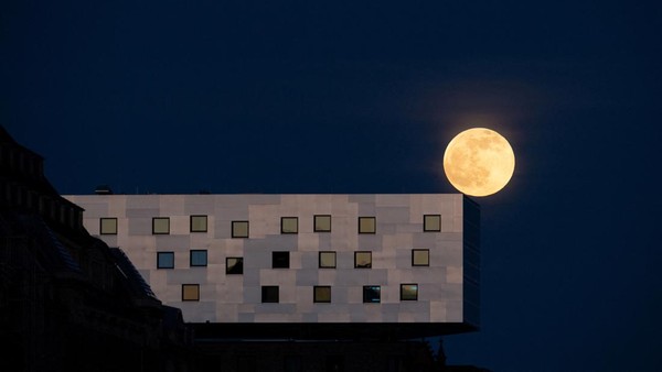 Terpesona Cantiknya Pink Moon di Langit Indonesia-Jerman