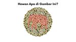 Tebak Siluet Hewan, Nggak Bisa Jawab Bisa Jadi Kamu Buta Warna