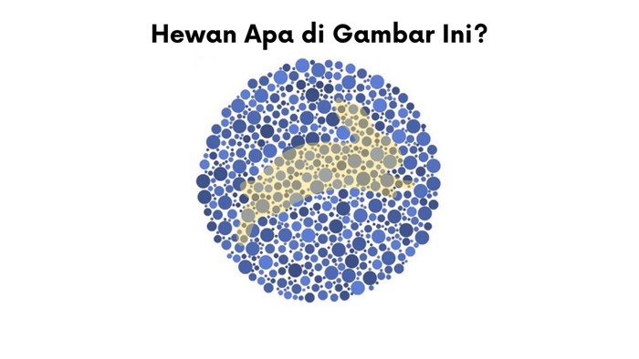 Asah otak detikhealth