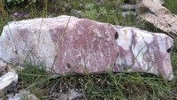 Terbentuk secara alami, batu ini punya motif yang tidak biasa. Jika diperhatikan dari jauh penampakannya mirip bongkahan daging. Foto: Reddit