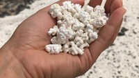 Pergi ke tepi pantai untuk mendapatkan udara segar, netizen ini dibikin lapar oleh batu karang. Berbentuk pecahan kecil-kecil berwarna putih batu ini tampak seperti popcorn. Foto: Reddit