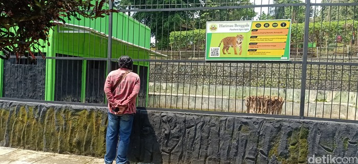 Kandang harimau di Serulingmas Zoo Banjarnegara, Senin (18/4/2022).