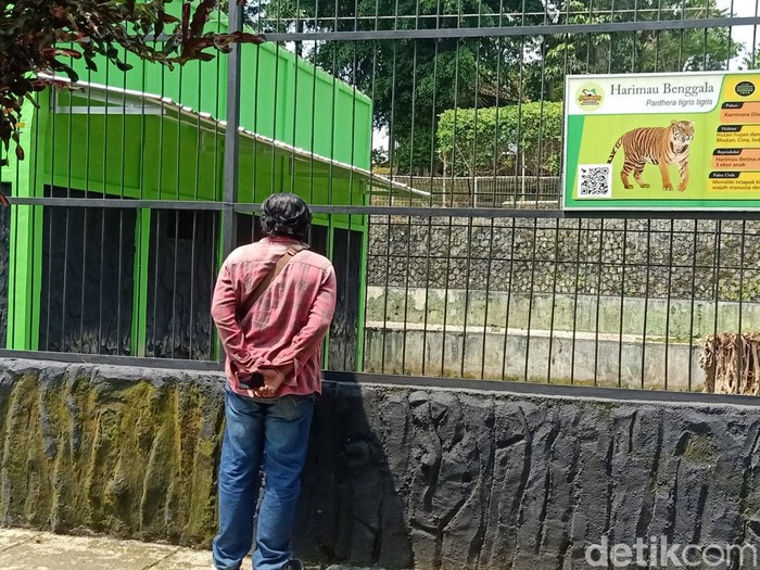 Kandang harimau di Serulingmas Zoo Banjarnegara, Senin (18/4/2022).
