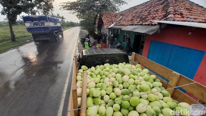 Mobil bandar sedang mengambil timun suri dari pengepul di kawasan Kecamatan Ujungjaya, Sumedang.