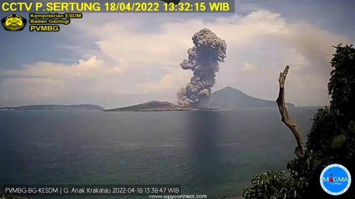 Penampakan Gunung Anak Krakatau saat erupsi siang ini, Senin (18/4/2022).