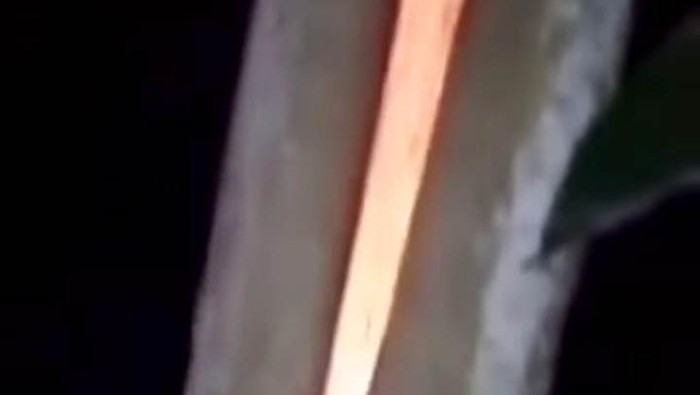 Penampakan Pohon di Batang yang Viral Gegara Tiba-tiba Terbakar Warga Kabupaten Batang geger usai sebatang pohon terbakar sendiri. Peristiwa itu pun viral dan tak sedikit warga yang mengaitkannya dengan hal mistis.