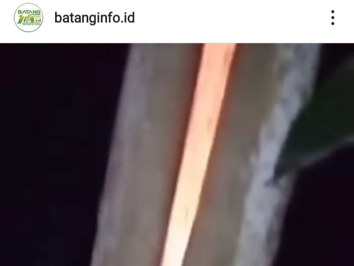 Pohon terbakar misterius di Batang, Minggu (17/4/2022).