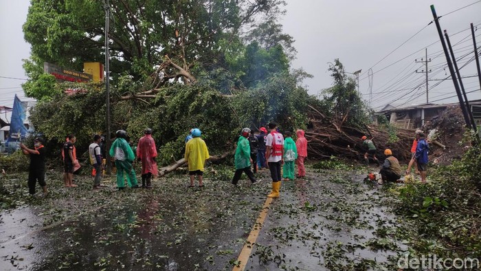 Pohon tumbang putus jalur Malang-Blitar