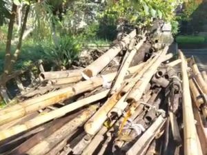 Sanksi Adat Kanorayang Warga Taro Gianyar Memanas Lagi