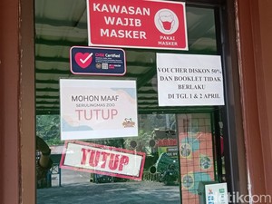 Serulingmas Zoo Akan Jelaskan soal Perawat Harimau Tewas dengan Luka Leher