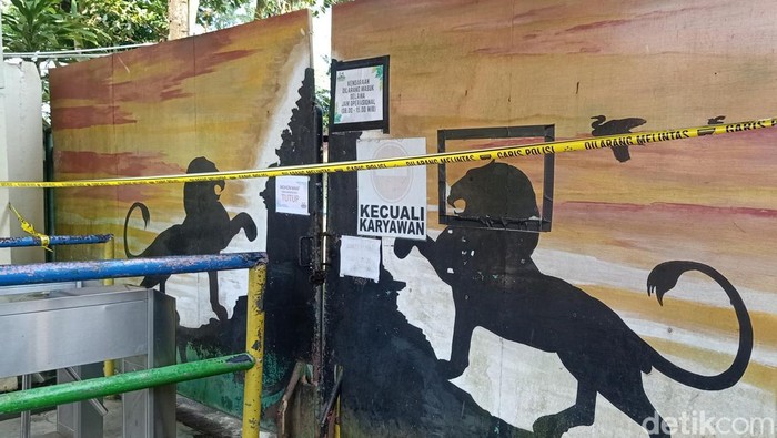 Serulingmas Zoo tutup usai tewasnya perawat satwa saat membersihkan kandang harimau, Senin (18/4/2022).