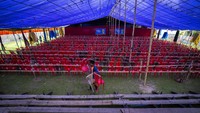 Seorang sukarelawan mengatur kursi di dalam tenda untuk pertunjukan Teater Awahan di desa Xetali di timur Gauhati, India, Rabu, (6/4/2022).