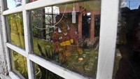 Titik cerah akhirnya muncul seiring kondisi pandemi COVID-19 yang semakin membaik dan adanya relaksasi aturan pengetatan kegiatan masyarakat. Meski agak lambat, permintaan pasar terhadap kerajinan perak milik Fitri mulai tumbuh. Tak hanya perhiasan dan aksesoris saja, kerajinan miniatur juga menjadi yang diminati seiring semakin membaiknya kunjungan wisata di Sumatera Barat.