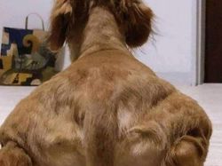 Kumpulan Foto Mengecoh Otak, Ayo Coba Fokus!