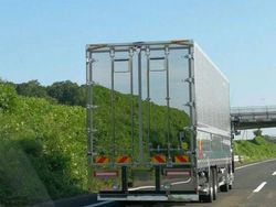 Kumpulan Foto Mengecoh Otak, Ayo Coba Fokus!