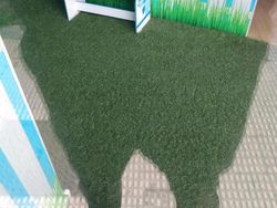 Kumpulan Foto Mengecoh Otak, Ayo Coba Fokus!