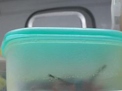 Kumpulan Foto Mengecoh Otak, Ayo Coba Fokus!