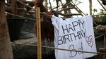 Selamat Ulang Tahun Orang Utan Tertua di Dunia!